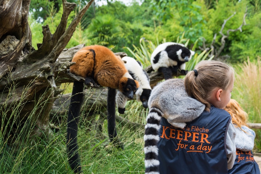 Zoo La Flèche
